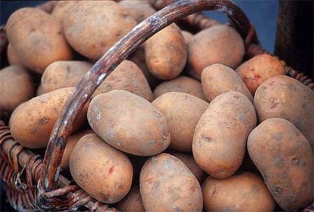 Херсонским военным продают картошку по 20 грн. за кило