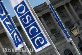 Миссию ОБСЕ на Донбассе увеличат до 500 человек
