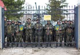 В Минобороны Украины разворовали 25% бюджета, — советник Порошенко