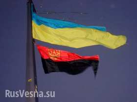 Житель Винницкой области получил срок за то, что сознательно сжег в печке флаг Украины