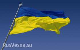 В Сумской обл. двое нетрезвых студентов пытались снять флаг Украины с флагштока (видео)