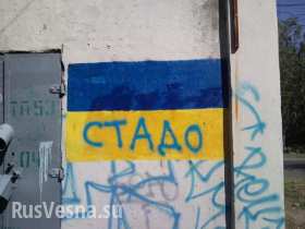 Николаев против украинского фашизма: свастики, «каратели» и «нацисты» на стенах (фото)