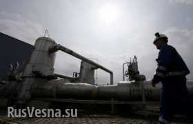 ФНЭБ: Украина потеряла до $1 млрд из-за сокращения транзита российского газа на 30%