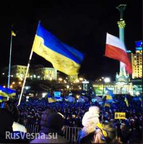 В Польше обсуждается вопрос о введении войск на Украину