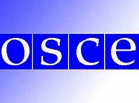ОБСЕ призывает вывести военные подразделения и тяжелое вооружение из аэропорта Донецка