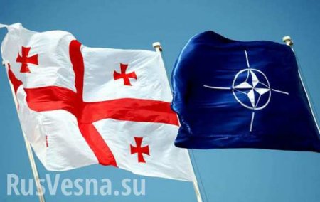 НАТО планирует создать свои тренировочные центры военных в Грузии