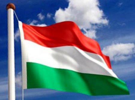 Депутат от "Йоббика" призвал правительство Венгрии спасти венгров Украины от мобилизации