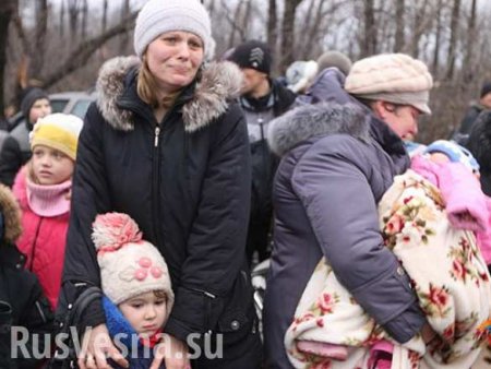 Более четырехсот беженцев из Донецка и Горловки спасаются в Амвросиевке