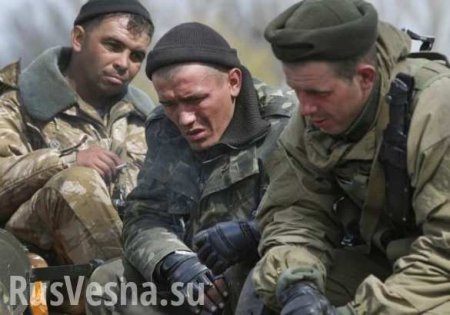 «Дебальцевского котла» нет, все идет по плану, — министр обороны Украины успокаивает сограждан