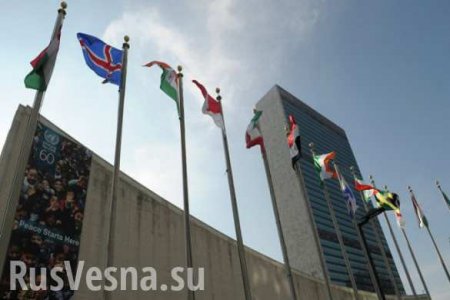 На Украину могут ввести миротворцев ООН