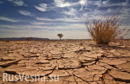 Климатологи: США ожидает самая сильная засуха за тысячелетие