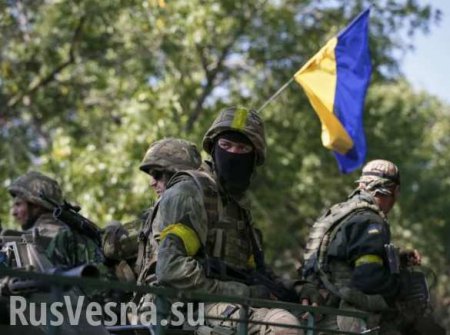 Дебальцевский котел: Работают штурмовые отряды Армии Новороссии  (ВИДЕО)