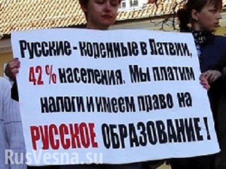 Доброволец: в Латвии, как и на Украине, ущемляют права русских граждан (ВИДЕО)