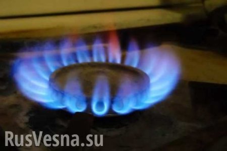 Новак: «Нафтогаз» платит посуточно за газ, так как у него нет денег