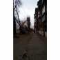 В Донецке непогода обесточила 30 подстанций а в Харькове свирепый ураган валил деревья и срывал крыши с домов (ФОТО)