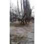 В Донецке непогода обесточила 30 подстанций а в Харькове свирепый ураган валил деревья и срывал крыши с домов (ФОТО)