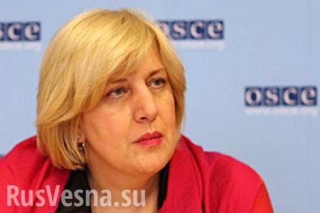 ОБСЕ вновь призывает обеспечить безопасность журналистов в Новороссии