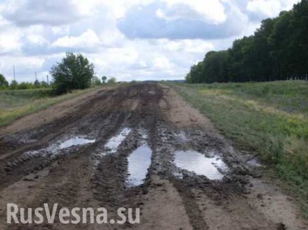 Готовится уничтожение полевых дорог в Одесской области, которые ведут к границе с Приднестровьем