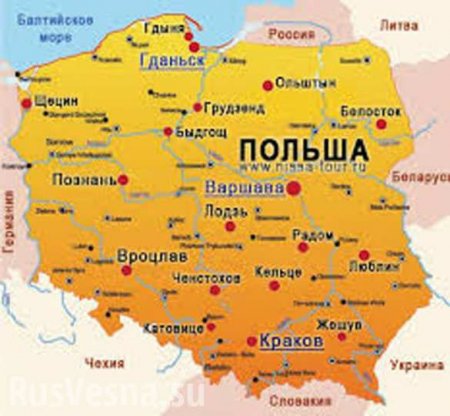 В Польше откроют курсы повышения квалификации для украинских вояк