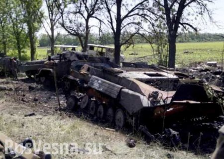 Разведчик Армии ДНР: «Амвросиевку хотели накрыть ураганным огнем, ополчение и местные жители спасли ее»