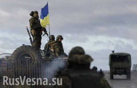ЛНР: ВСУ продолжают провокации в районе Станицы Луганской и наращивают группировку на фронте