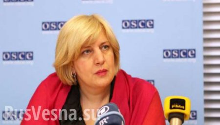 Свобода слова за закрытыми дверями: Представитель ОБСЕ по вопросам свободы СМИ проведет «мастер-класс» для Министерства информации