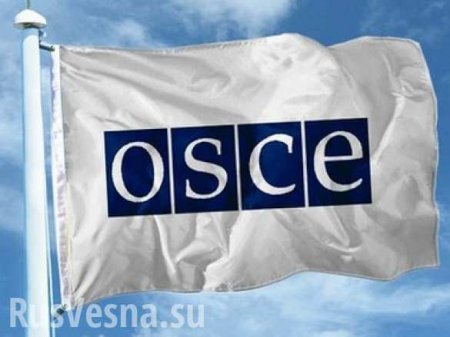 ОБСЕ: нет фактов, что Россия поддерживает Ополчение, но ведь может же