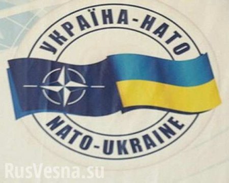 НАТО: На Украине работают наши высокопрофессиональные советники