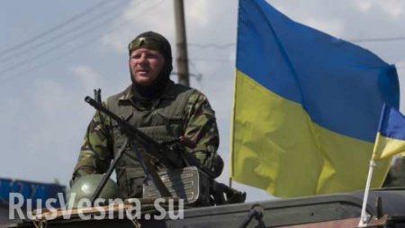 Разоблачительное видео с трофейного телефона украинского военного (ВИДЕО)