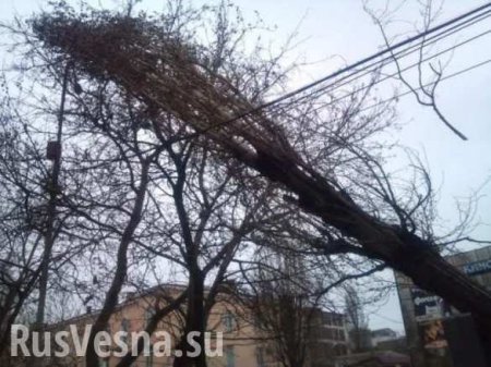 Ураганный ветер оставил без света 284 населенных пункта Украины