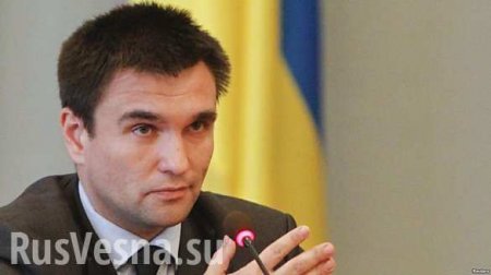 Глава МИД Украины: Киев не будет вести диалог с представителями ДНР и ЛНР до проведения выборов