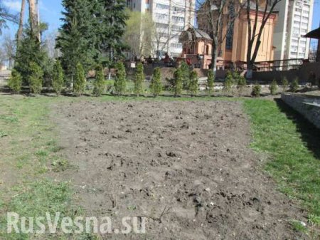 На Украине в парках начали выкапывать растения на продажу (ФОТО)