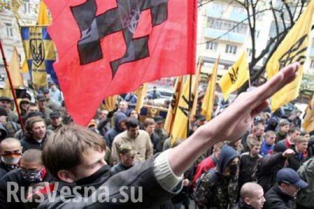Киев стремительно движется к нацизму, — Пургин об обращении общественности Донбасса к гарантам минских договоренностей