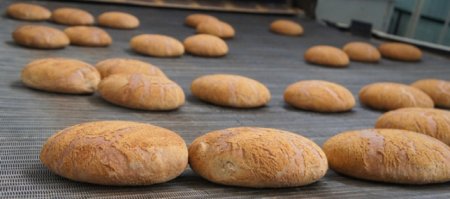 В ДНР увеличится количество предприятий по выпечке “Республиканского” хлеба
