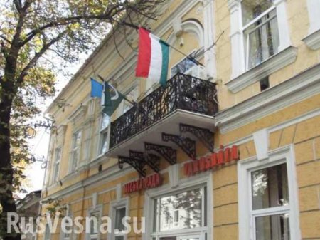 «Венгерский гамбит» — глава внешней разведки Венгрии публично заявил, что его страна будет проводить спецоперации на территории Украины