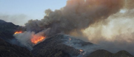 Сотни людей были эвакуированы в Калифорнии из-за пожаров