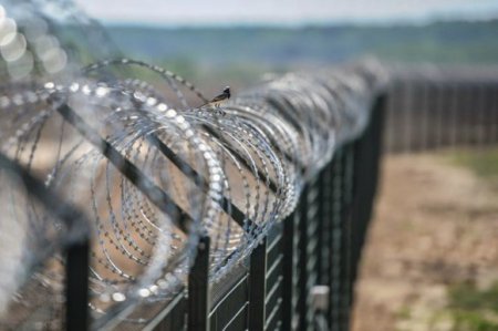 Венгрия ставит забор на границе с Сербией