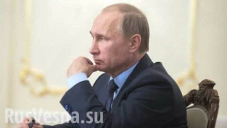 Путин поручил проработать вопрос уничтожения "санкционных" продуктов
