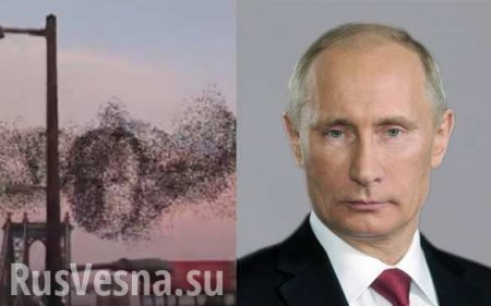 В небе над Нью-Йорком увидели портрет Путина (ВИДЕО)