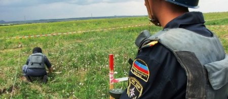 МЧС: Саперы в ходе сплошного разминирования ДНР обезвредили свыше 2000 боеприпасов