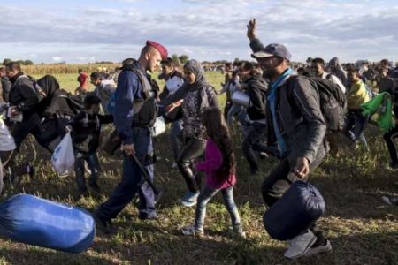 В Венгрии приняли решение арестовывать мигрантов