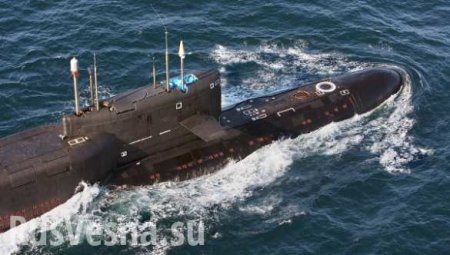 СМИ назвали российский «Шквал» одной из лучших подводных ракет в мире
