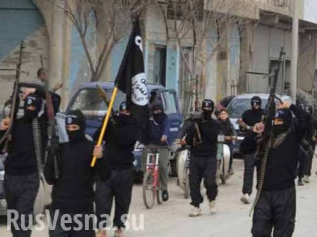 МОЛНИЯ: «Джебхат ан-Нусра» и ИГИЛ внесены в мировой список террористических организаций