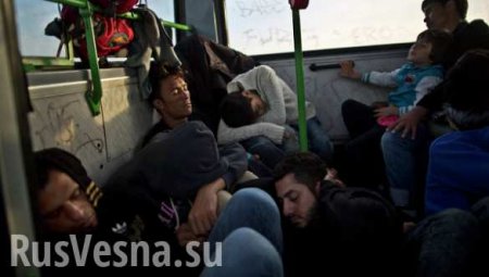 Сирийские беженцы в ЕС после терактов в Париже боятся за свою судьбу