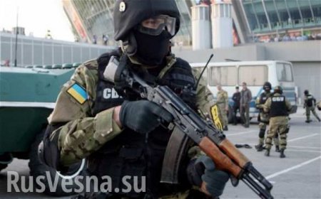 Украинский спецназ будут тренировать американские инструкторы