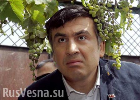 Враг всей Одессы — как Одесская область отторгает Михаила Саакашвили