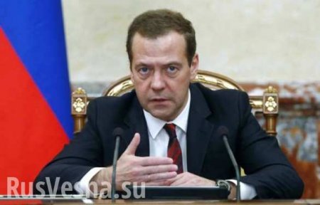 Медведев: Падение экономики приостановлено, следующий год будет годом роста