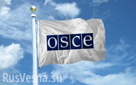 Украинский закон о декоммунизации противоречит европейским стандартам, — ОБСЕ