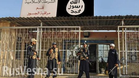 Террористы ИГИЛ убили 9 детей, обстреляв школу в Сирии