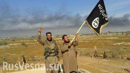 Боевики ИГИЛ в Ираке казнили 50 своих сподвижников